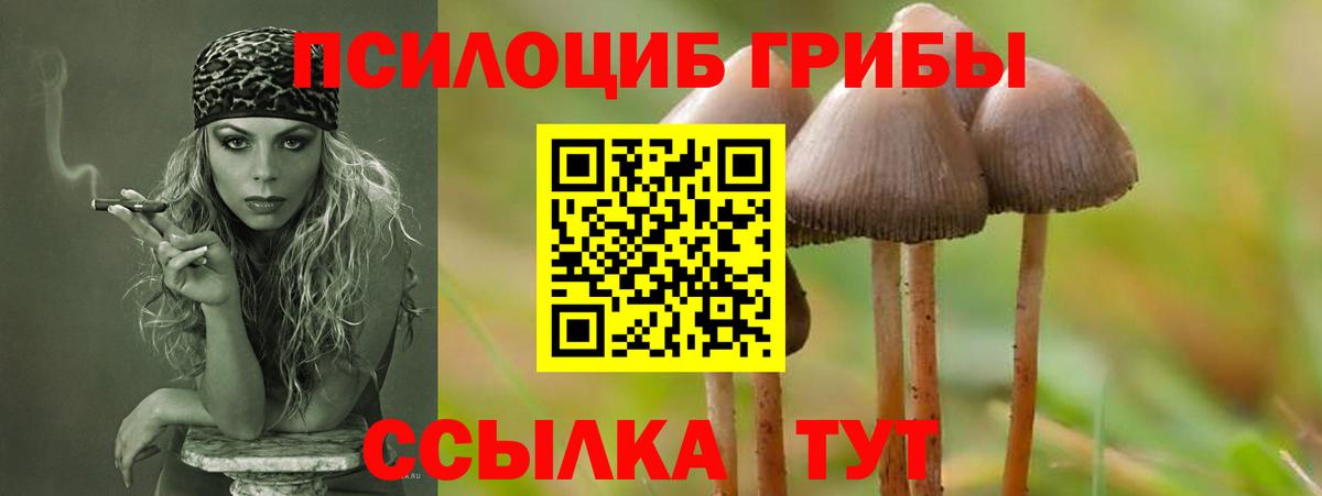 купить наркотики цена  Псилоцибиновые грибы мухоморы  Вход с VPN  Лесозаводск 